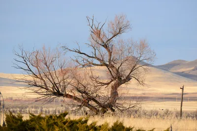 DSC_3105 (Large).JPG